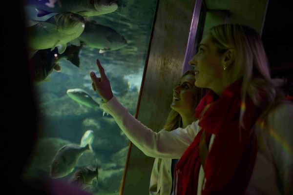 Galway Atlantaquaria, Galway City_master_11zon